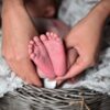 Yana Baby Infant Massage Program - Image 2
